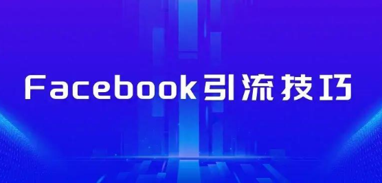 独立站流量增长:Facebook广告投放的实战技巧
